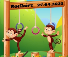 Mistrzostwa Śląska Ninja Monkey