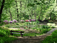 Arboretum Bramy Morawskiej - zdjęcie 1