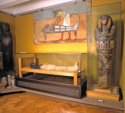 Mumia w Muzeum